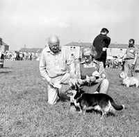 1973 Co Fair dog show (2)