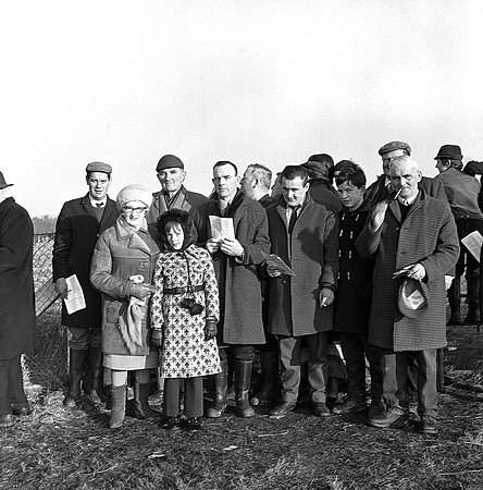 Abbeyfeale Coursing (3)
