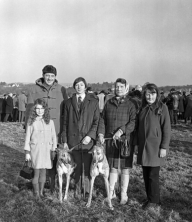 Abbeyfeale Coursing (1)