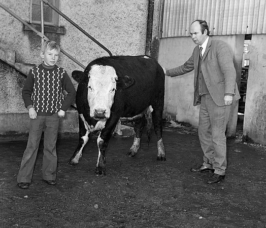 Castleisland mart 70's (1)