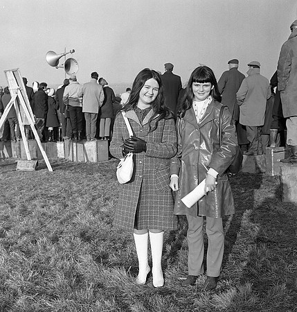 Abbeyfeale Coursing (2)