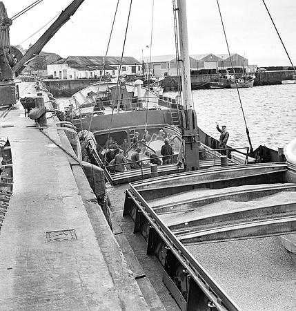 Fenit 70's (4)