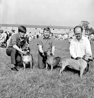 1973 Co Fair dog show (5)