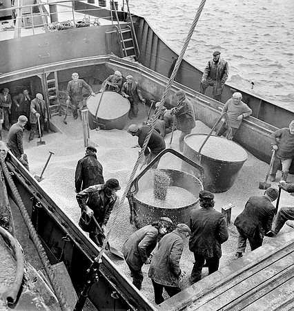 Fenit 70's (3)