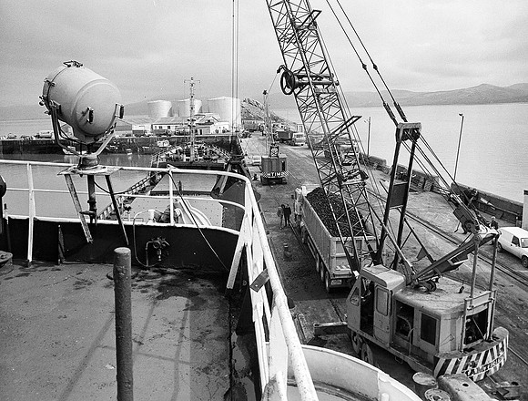 fenit (2)