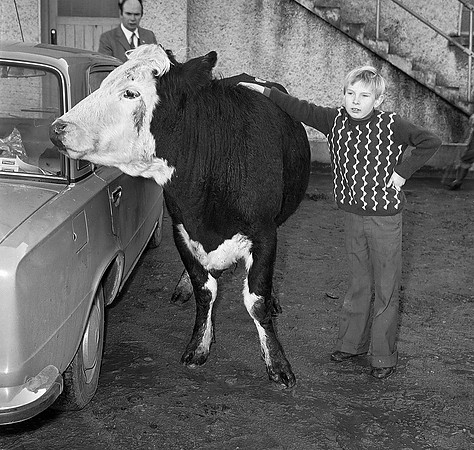 Castleisland mart 70's (2)