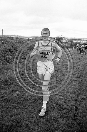 CASTLEISLAND 1988 (5)