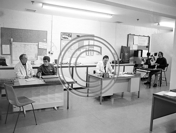 ESB training Tralee 70's (2)