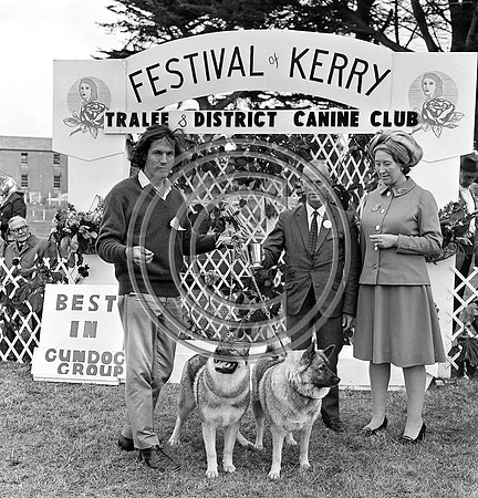 Festival of Kerry dog show 70's Tralee (1)