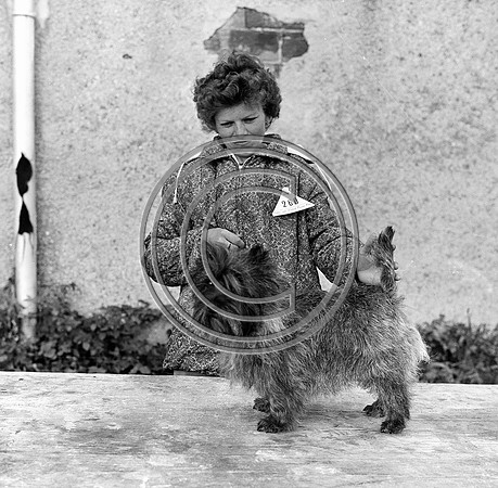 Festival of Kerry dog show 70's Tralee (3)