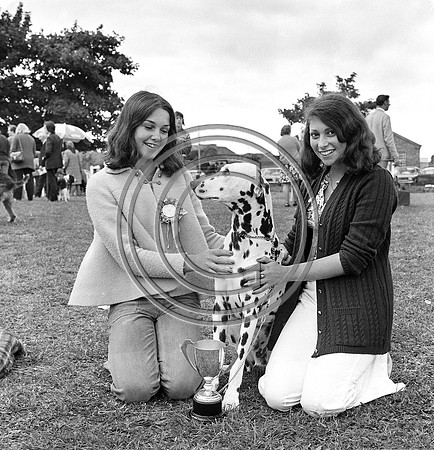 Festival of Kerry dog show 70's Tralee (4)