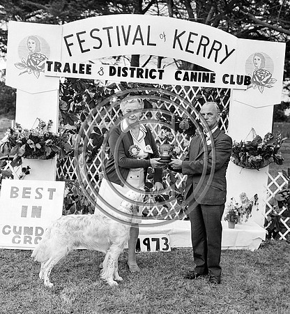Festival of Kerry dog show 70's Tralee (6)