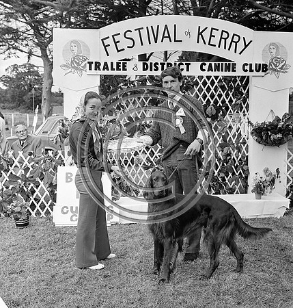 Festival of Kerry dog show 70's Tralee (7)