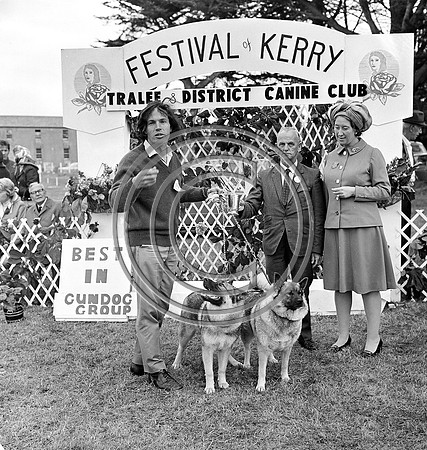 Festival of Kerry dog show 70's Tralee (8)