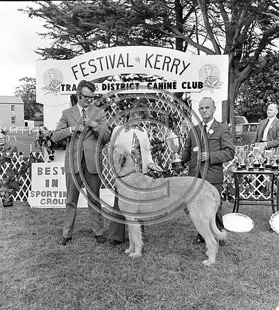 Festival of Kerry dog show 70's Tralee (9)