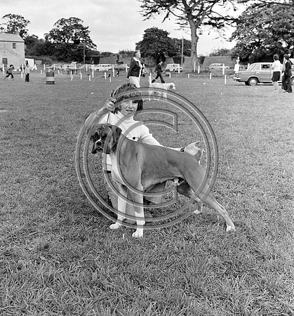Festival of Kerry dog show 70's Tralee (10)
