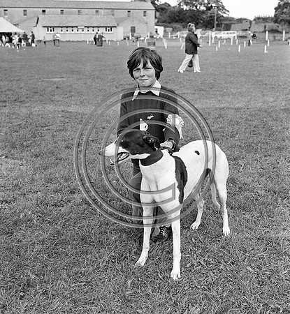 Festival of Kerry dog show 70's Tralee (11)