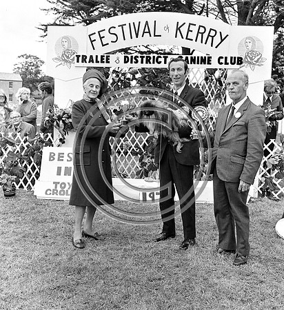 Festival of Kerry dog show 70's Tralee (12)