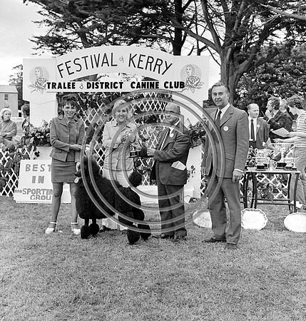 Festival of Kerry dog show 70's Tralee (13)