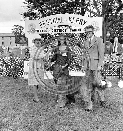 Festival of Kerry dog show 70's Tralee (14)