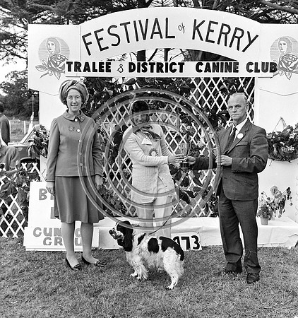 Festival of Kerry dog show 70's Tralee (15)