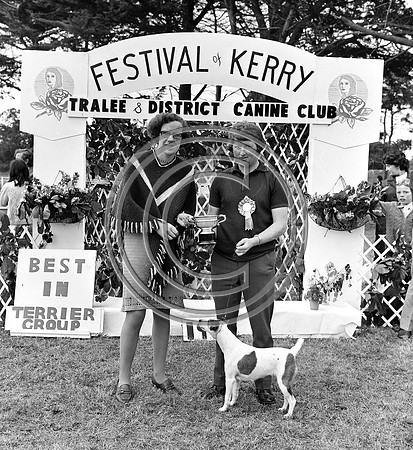 Festival of Kerry dog show 70's Tralee (16)