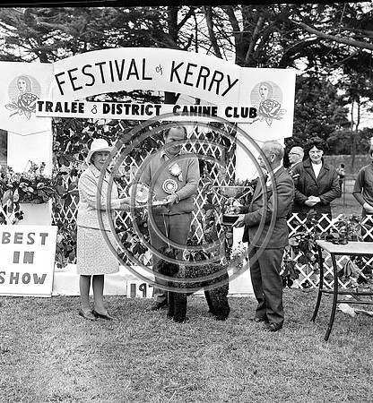 Festival of Kerry dog show 70's Tralee (18)