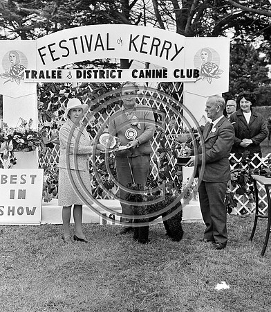 Festival of Kerry dog show 70's Tralee (19)