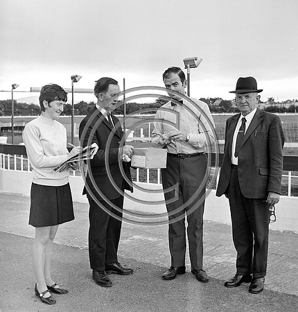 Greyhound Track Tralee 70's (8)