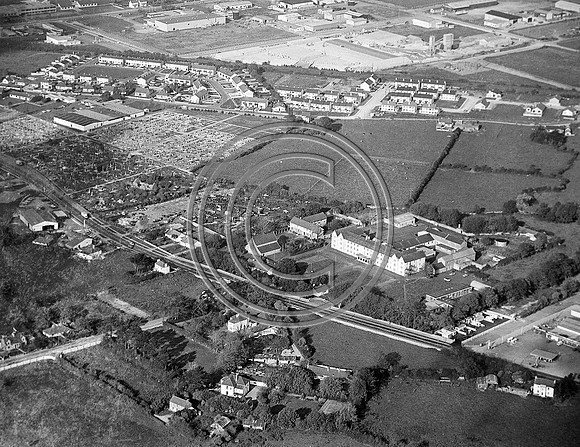 Manor Tralee 70's