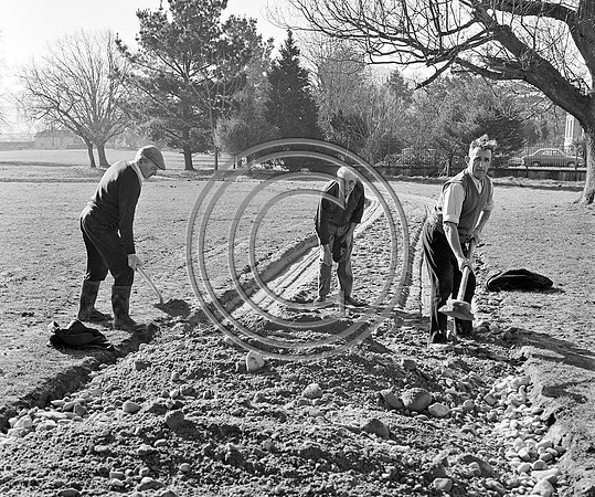 new green path 70's