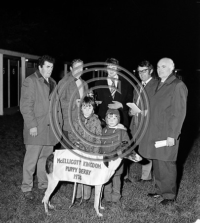 Greyhound track 1974 (3)