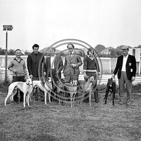 Greyhound Track Tralee 70's (1)