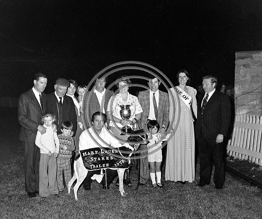 Greyhound Track Tralee 70's (3)