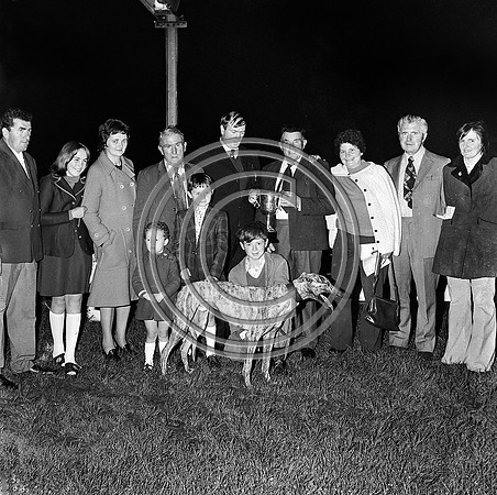 Greyhound Track Tralee 70's (4)