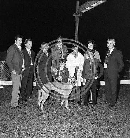 Greyhound Track Tralee 70's (5)