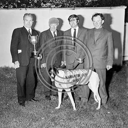 Greyhound Track Tralee 70's (9)