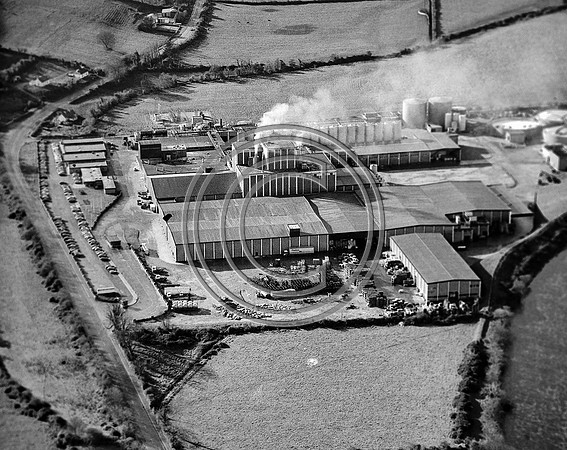 Kerry group Listowel 70's