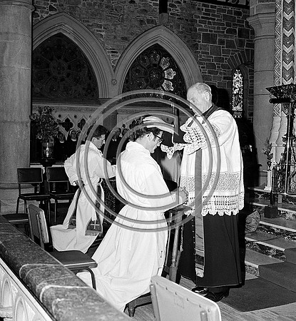Fr O'Keeffe ordination  (23)