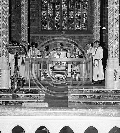 Fr O'Keeffe ordination  (26)
