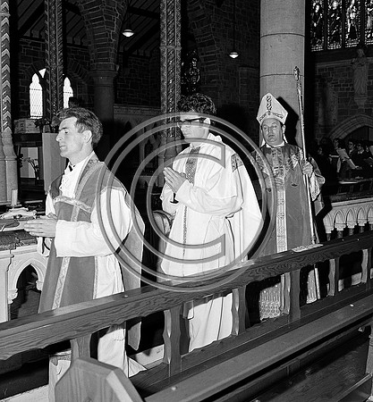 Fr O'Keeffe ordination  (28)