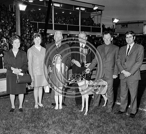 greyhound track (6)
