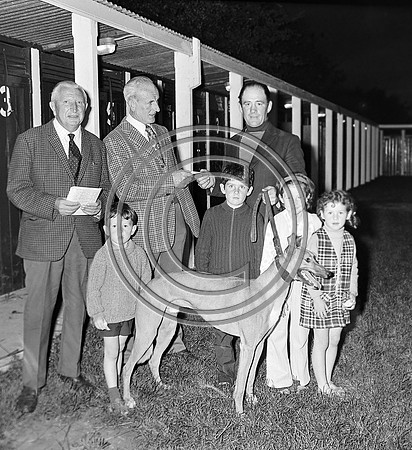 greyhound track (1)
