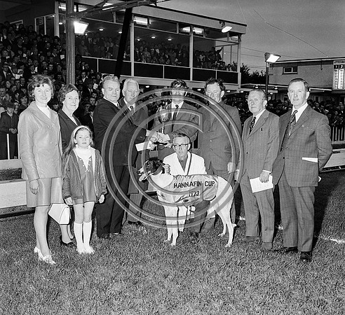 greyhound track (7)