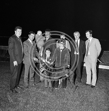 greyhound track (10)