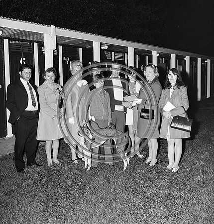 greyhound track (11)