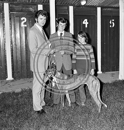 greyhound track (12)