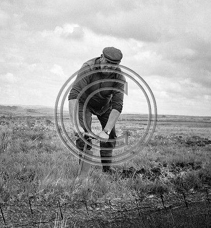rural (4)