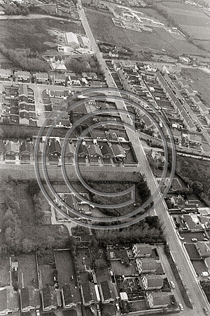 BLENNERVILLE 1986 (8)