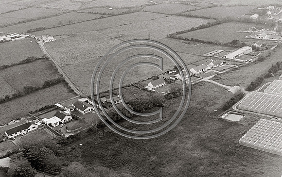 BLENNERVILLE 1986 (10)